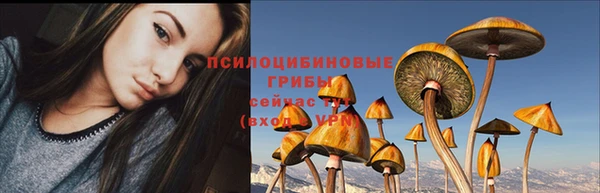 первитин Армянск