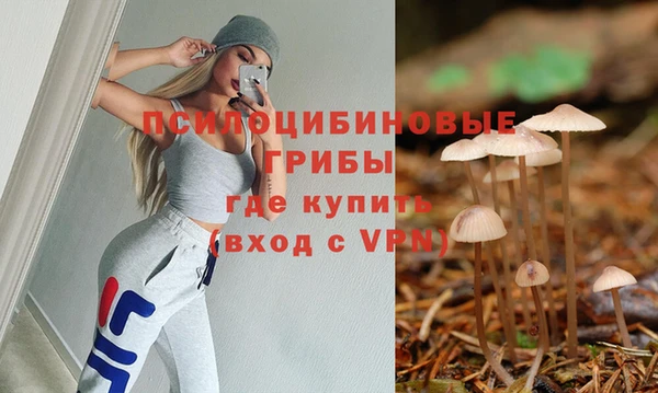 прущий лед Арсеньев